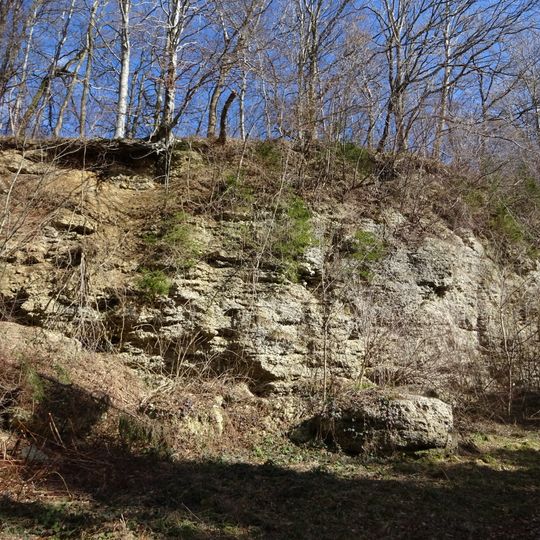 Wolfertschwendener Steige