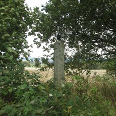 Kříž jižně od Domažlic u silnice do Tlumačova v kopci