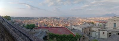 The view 1