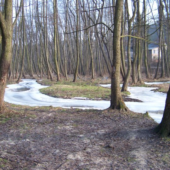 Mokřady dolní Liběchovky