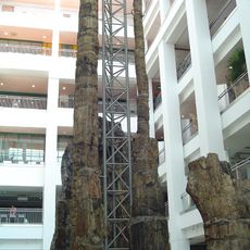 Museum of Natural History Chemnitz