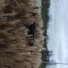 Work of art, sculpture