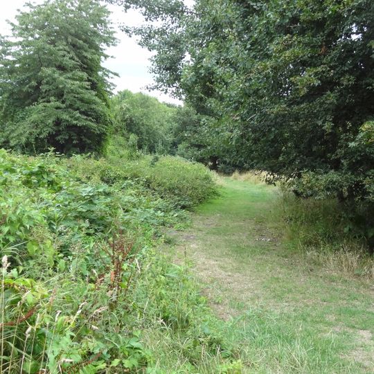 Elmbridge Open Space