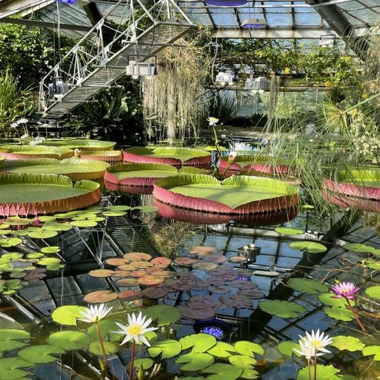 Orto botanico di San Pietroburgo