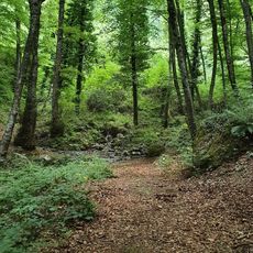 Monte Mancuso