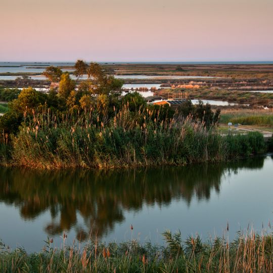 Parc natural del Delta de l’Ebre