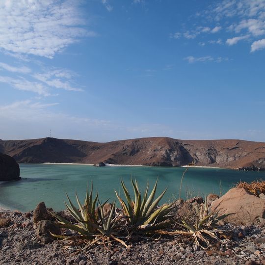 Área de protección de flora y fauna Balandra