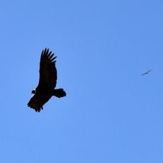 Quebrada de los Cóndores
