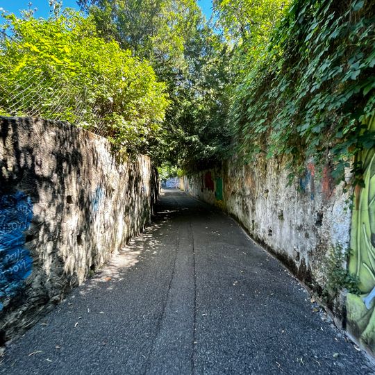 Le Gourg des Poissons