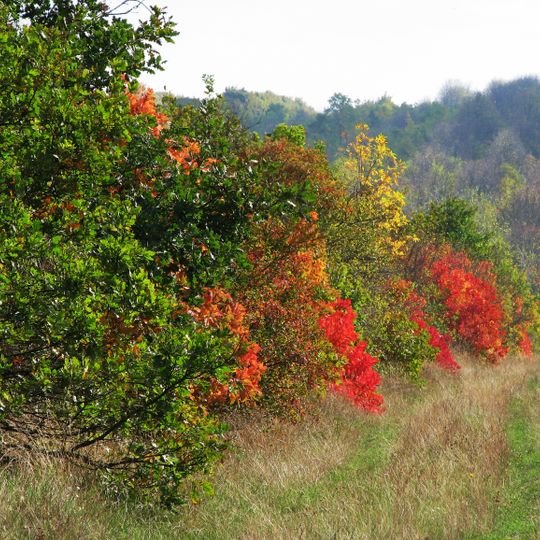 Velykyi Dalnyk rural hromada