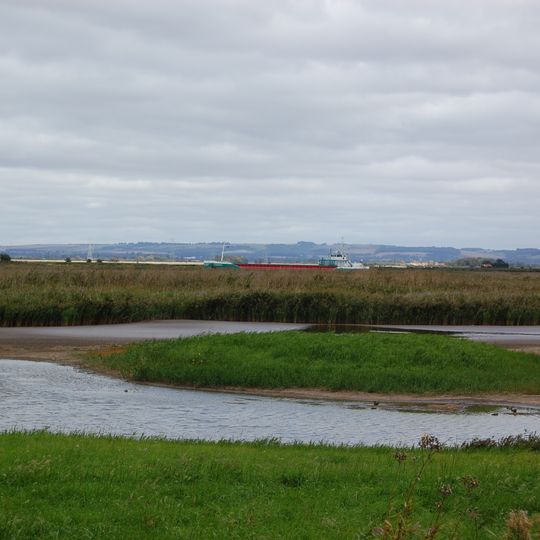 Blacktoft Sands RSPB reserve