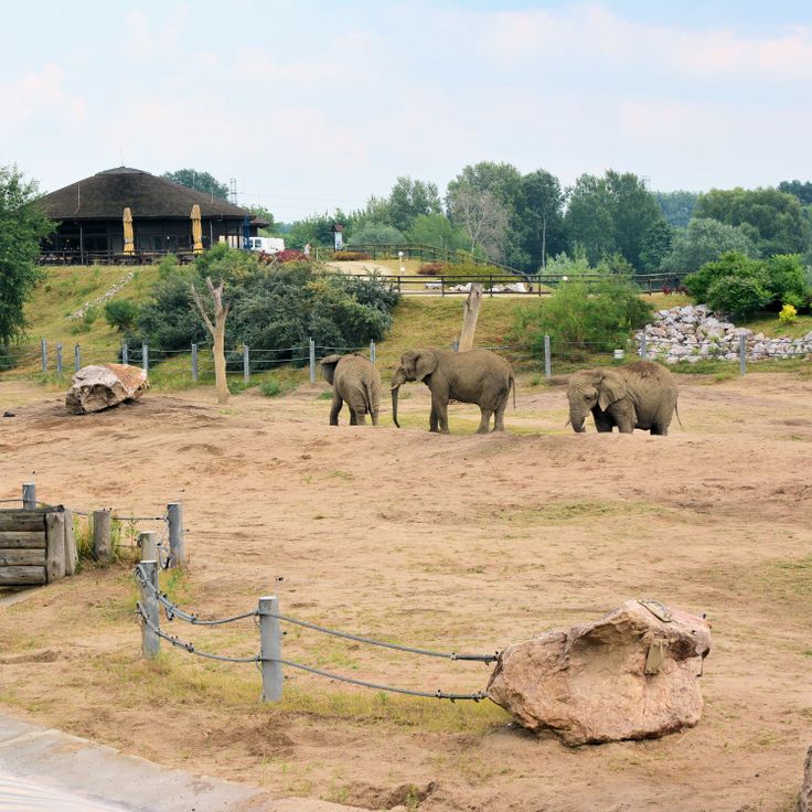 Poznan Zoo