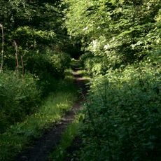 Wälder bei Cappenberg