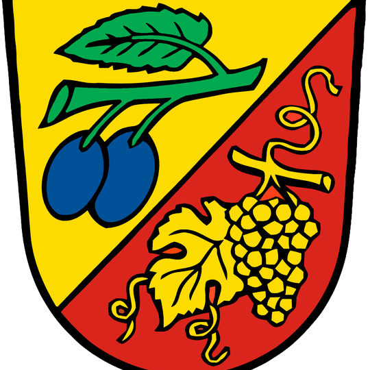 Arrondissement de Bühl