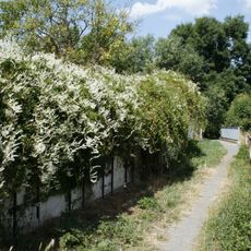 Lávka ulice Pod Rybničnou přes Litovický potok
