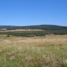 Jizera Meadow