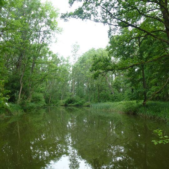 Naturwaldreservat Neugeschüttwörth