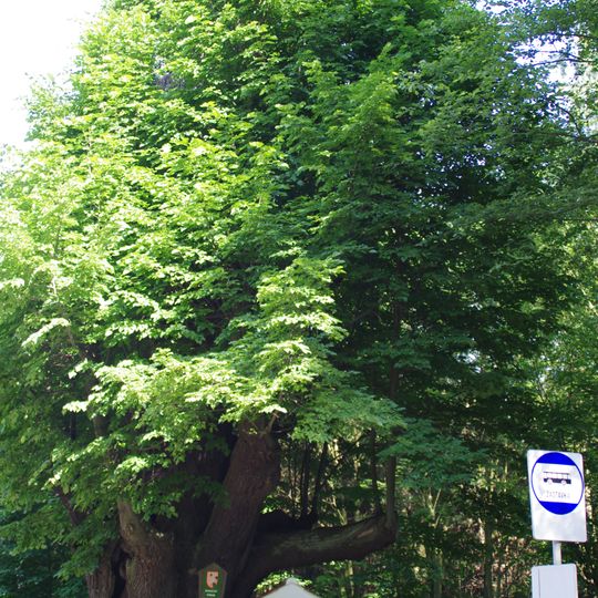 Kaplička u silnice z Klášterce nad Ohří do Kadaně
