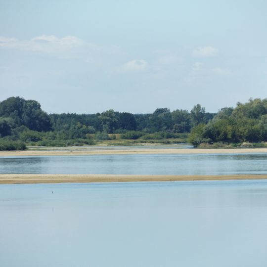 Rezerwat przyrody Kępa Antonińska