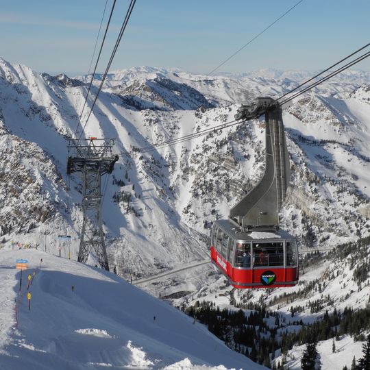 Snowbird