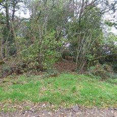 Motte and bailey castle 150m south west of Wilderley Hall
