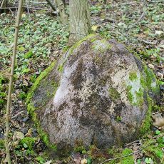 Imbarės II akmuo su dubeniu