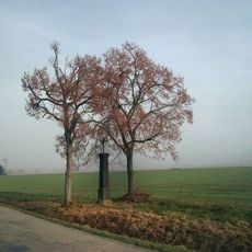 Kříž jižně od Soběkur u silnice