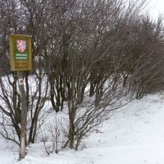 Červený rybníček