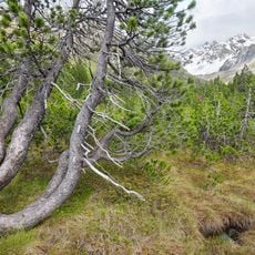 Cime Redasco