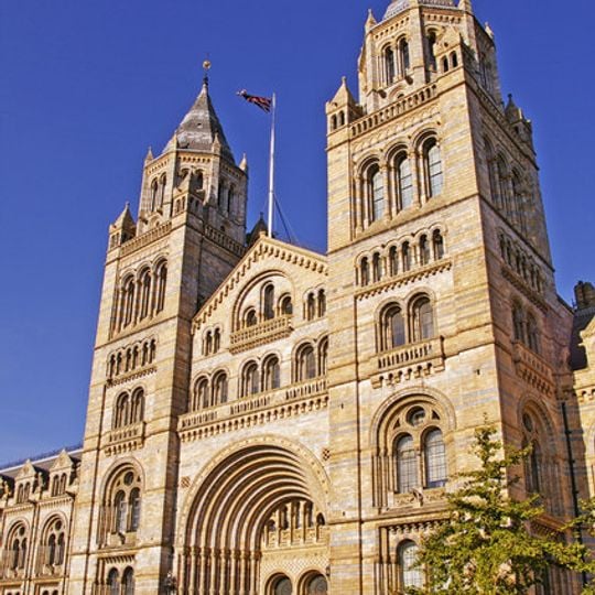 Musée d'histoire naturelle de Londres