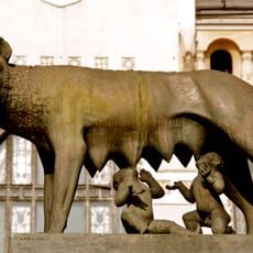 Capitoline Wolf, Târgu Mureș