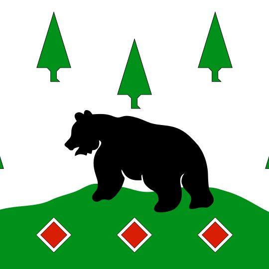 Boksitogorskij rajon