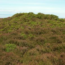Bowl barrow on Longstone Hill, 270m north east of Bicknoller Post