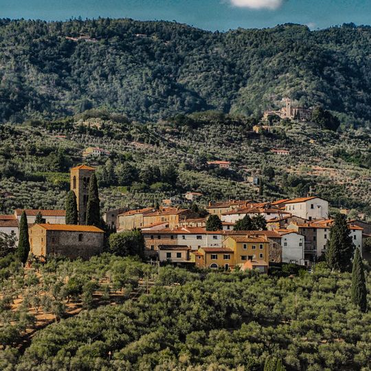 Borgo fortificato di Colle di Buggiano