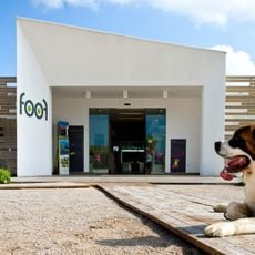Foof Museo del Cane