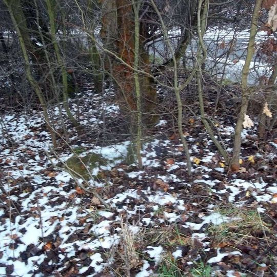 Boží muka západně od Bdeněvsi