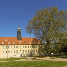 Naturdenkmale Platane hinter dem Elsterschlossgymnasium