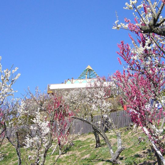 Sumaura Sanjo Amusement Park