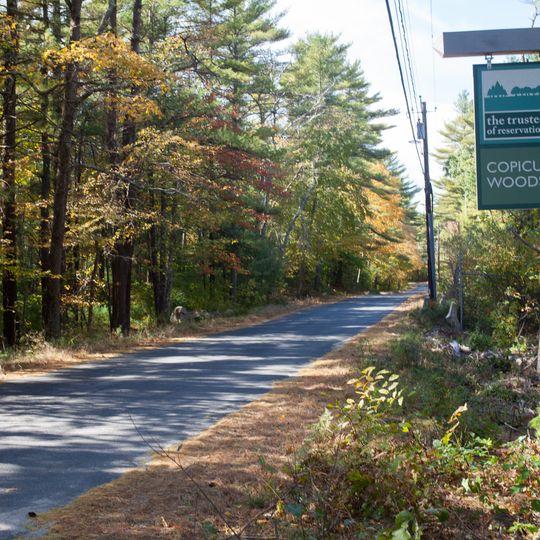 Copicut Woods