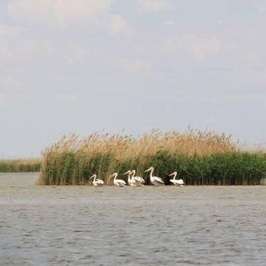 State Nature Reservat "Akzhaiyk"