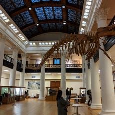Alabama Museum of Natural History