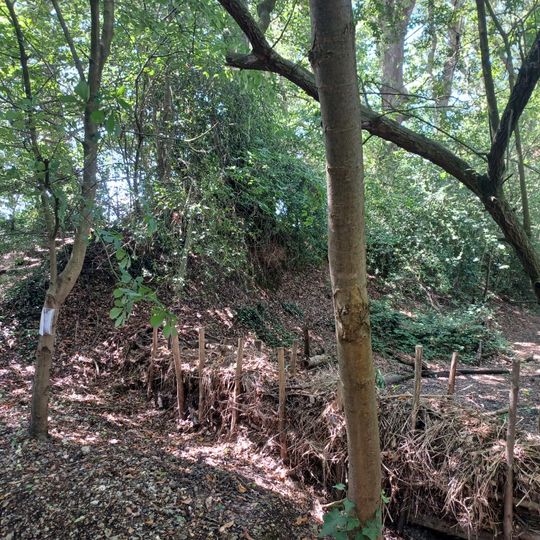 Chichester Dyke, Broyle earthwork, section extending 430yds through East Broyle Copse, to railway, and earthwork extendin