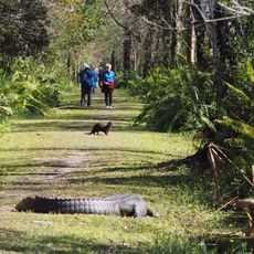 Bird Rookery Swamp Trail