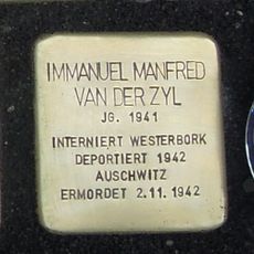 Immanuel Manfred van der Zyl