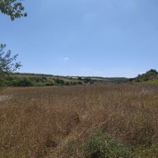 Oasi WWF Gioacchino Carone