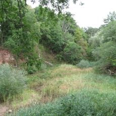 Naturdenkmal Steinbruch bei Langen