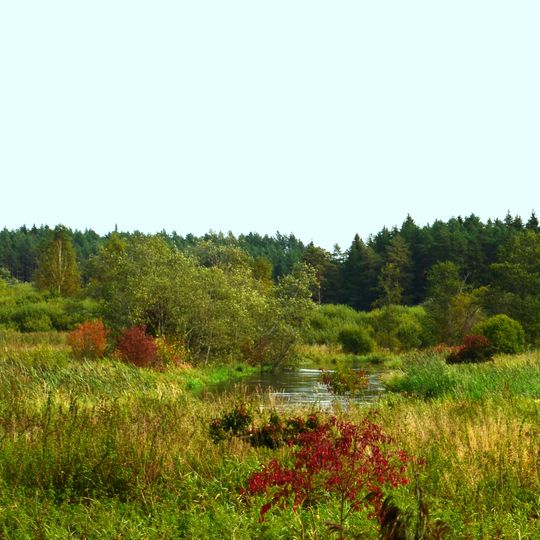 Vilnia Hydrographical Reserve