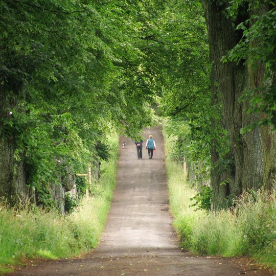 Schutz von Landschaftsteilen der Kurfürstenallee in Marktoberdorf
