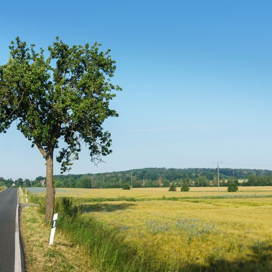 Dornreichenbacher Berg