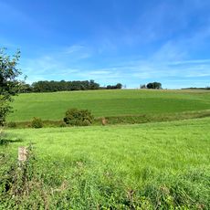 NSG Stoedterbachtal und Nebenbaeche